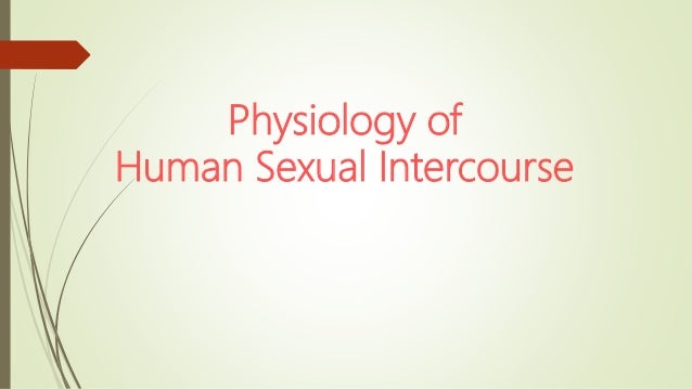 human intercourse physiology sexual Ines gomes porno